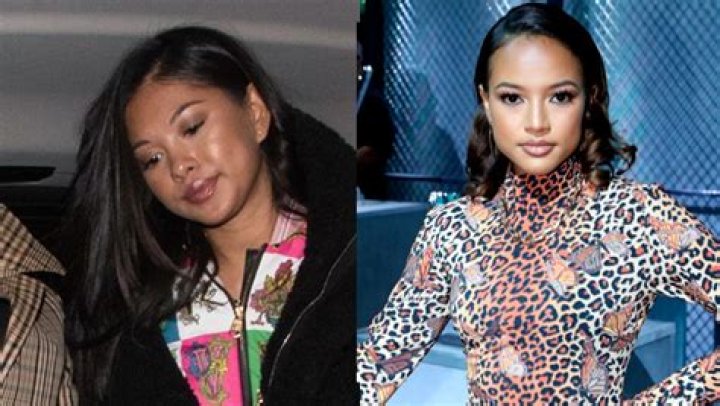 Ammika Harris Reacts To Fan Saying She Looks Like Chris Brown’s Ex – Hollywood Life