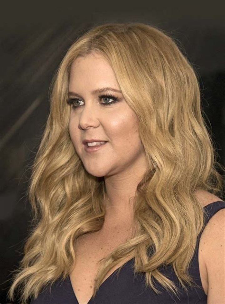 Amy Schumer Celebrity Profile – Hollywood Life