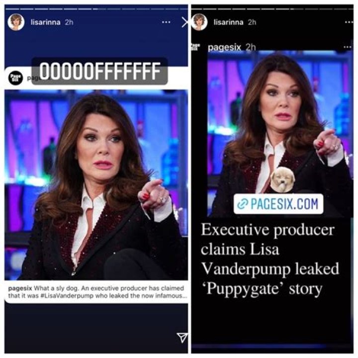 Andy Cohen Shuts Down ‘Dumbest’ Theory About Puppygate ‘Involving One Of LVP’s Biggest Champions’