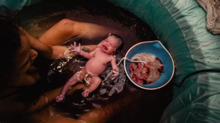 April The Giraffe — PICS