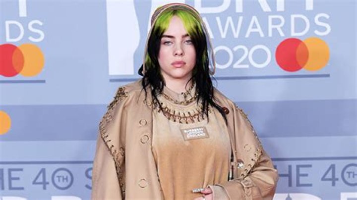 Billie Eilish’s BF Matthew Vorce Apologizes For Homophobic & Racist Posts – Hollywood Life
