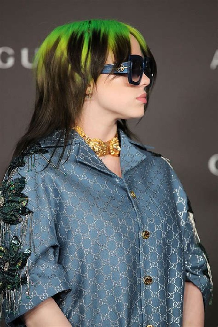 Billie Eilish Debuts An Edgy New Mullet Haircut — See Before & After Pics