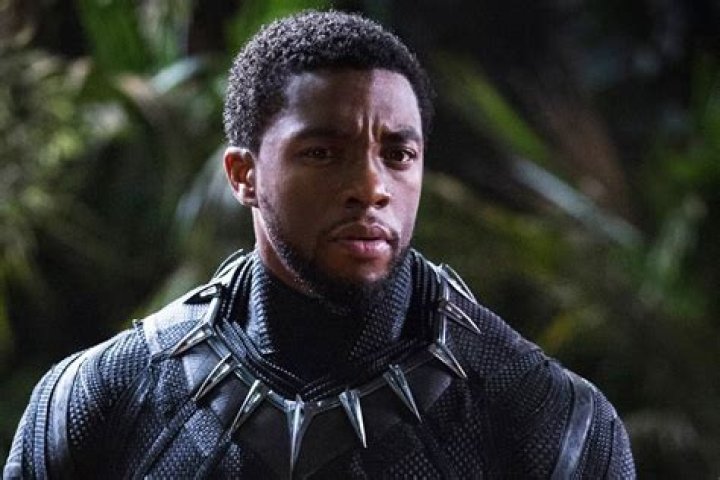 T’Challa’s Son With Nakia Revealed In End Credits – Hollywood Life