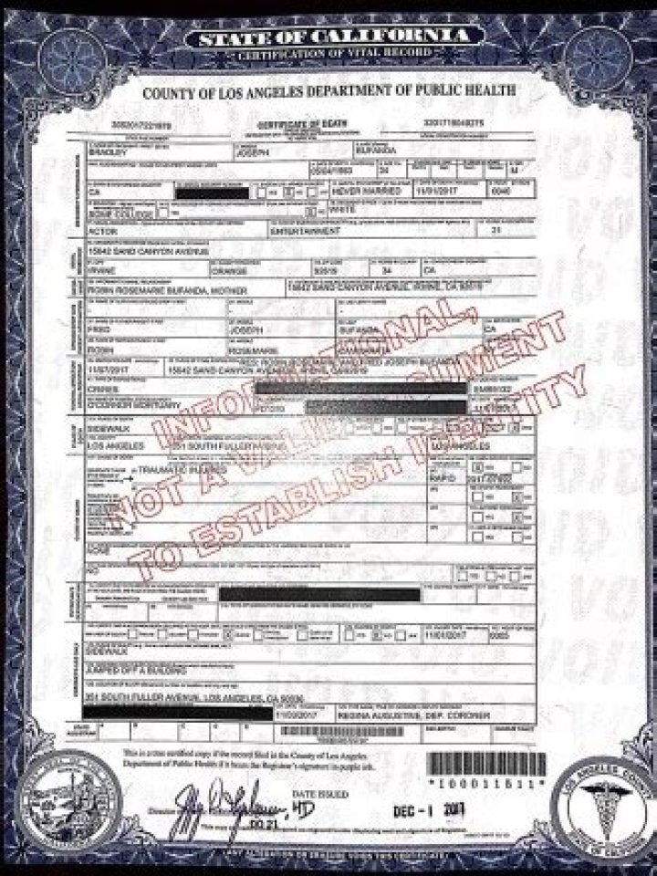 Details About His Tragic Suicide – Hollywood Life