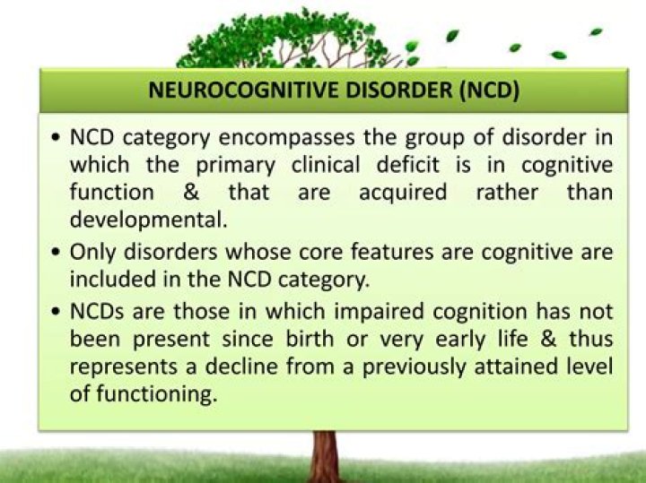 Brian Wilson’s Health: All About His Struggle With a Major Neurocognitive Disorder