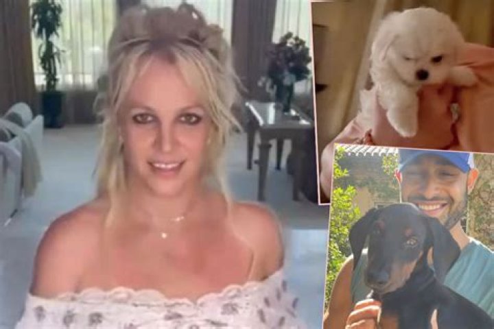 Britney Spears Introduces New Puppy Snow In Instagram Video – Hollywood Life