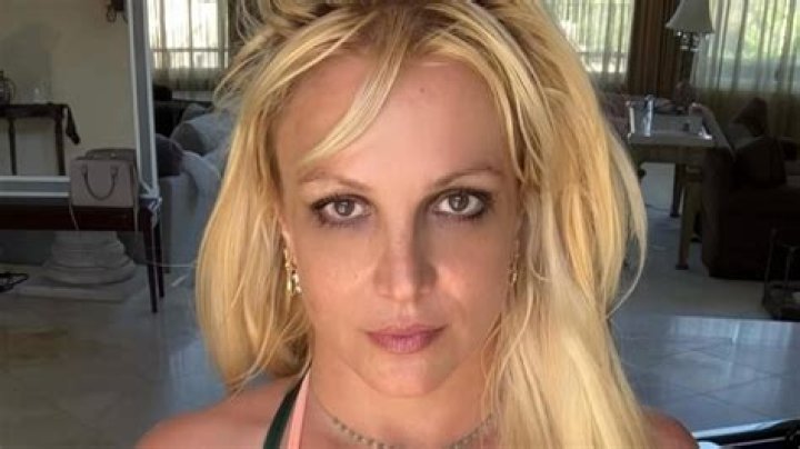 Britney Spears Cradles ‘New Addition’ To Family: ‘Guess If It’s A Boy Or Girl?’ — Watch