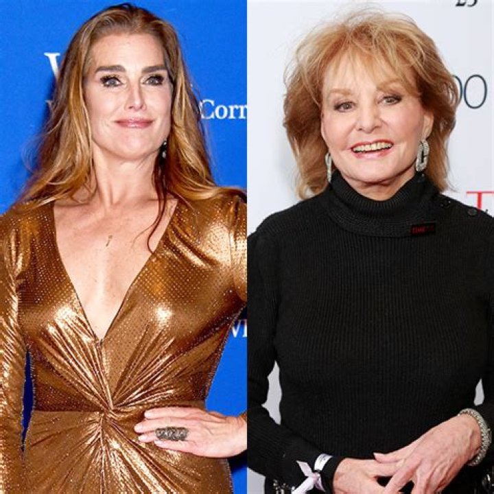 Brooke Shields Felt ‘Taken Advantage Of’ In Barbara Walters Interview – Hollywood Life