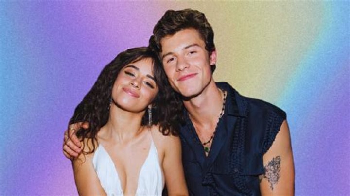 Camila Cabello’s Friends Worried Shawn Mendes’ Career Might Get In The Way Of Their Romance