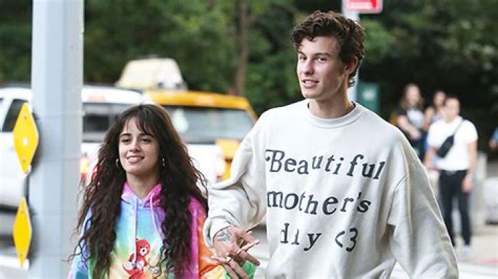 Camila Cabello Reveals Her Romantic New Year’s Eve Plans With Shawn Mendes — Watch