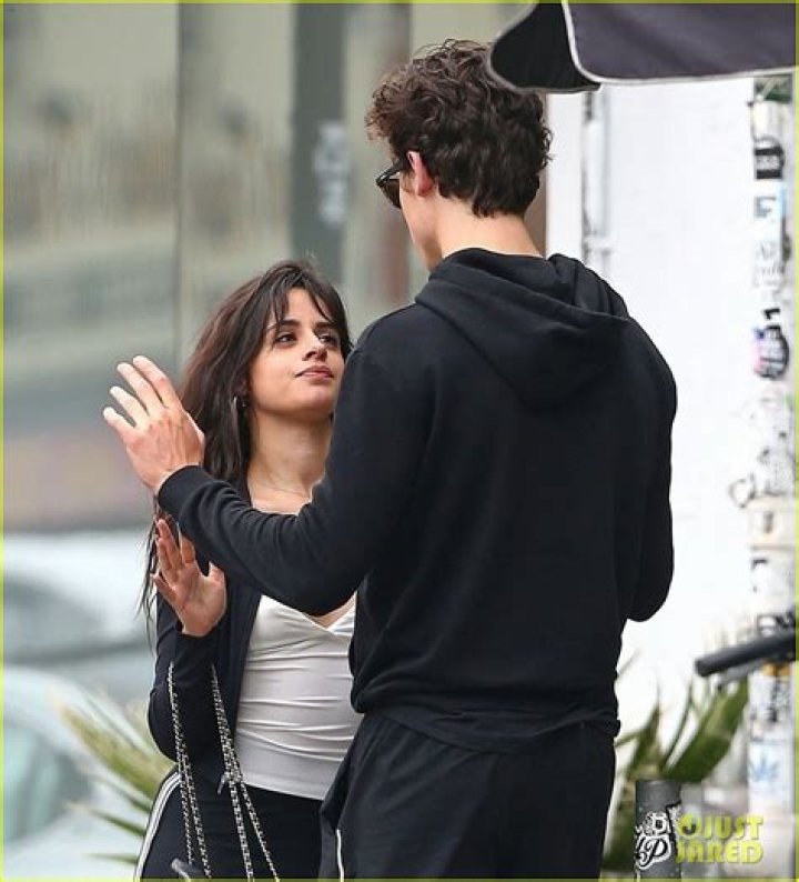 Camila Cabello & Shawn Mendes ‘Couldn’t Keep Their Hands Off Each Other’ Over Sunday Brunch