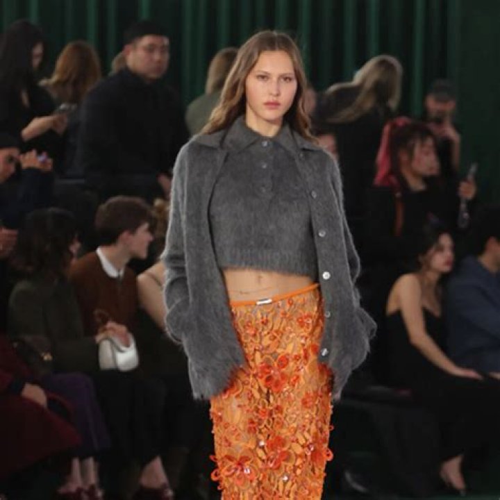 Celebrities At New York Fashion Week — NYFW Fall 2015 Shows