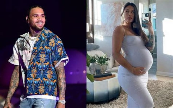 Chris Brown’s Rumored Ex-Fling Diamond Brown Is Pregnant – Hollywood Life