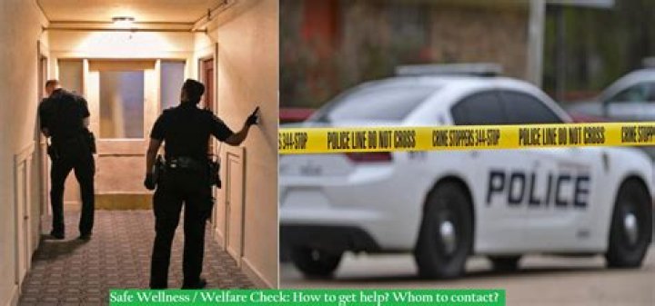 Police Did Welfare Check After Kellyanne Yelling Video – Hollywood Life