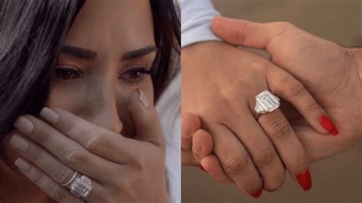 Demi Lovato’s Engagement Ring Designer Says Her Fiance Put ‘A Lot Of Love’ Into Helping Create It
