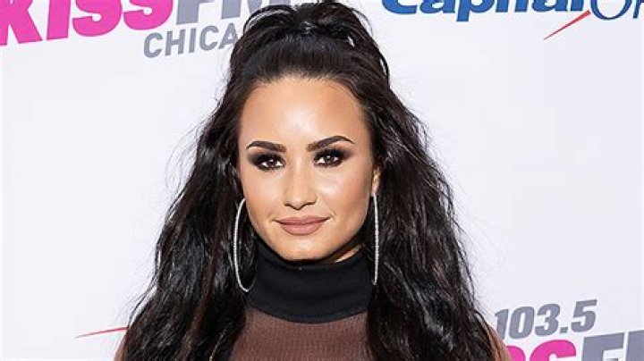 Demi Lovato Drug Abuse Past – Her Long Battle With Cocaine & Alcohol – Hollywood Life