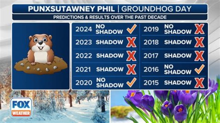 Did Groundhog See Shadow In 2020? — Phil’s Prediction Revealed – Hollywood Life