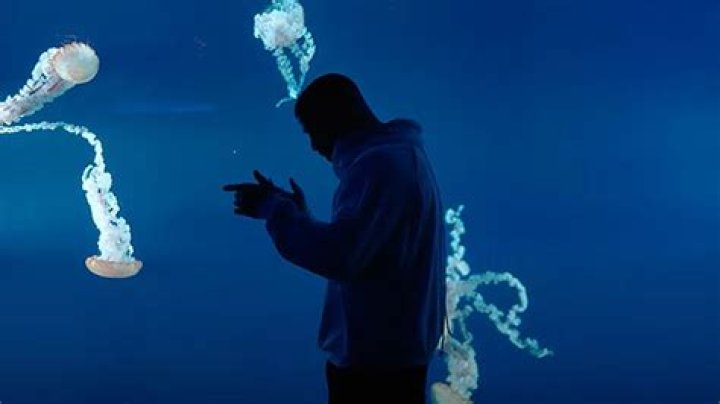 Drake Films ‘What’s Next’ Music Video All Over Toronto – Hollywood Life