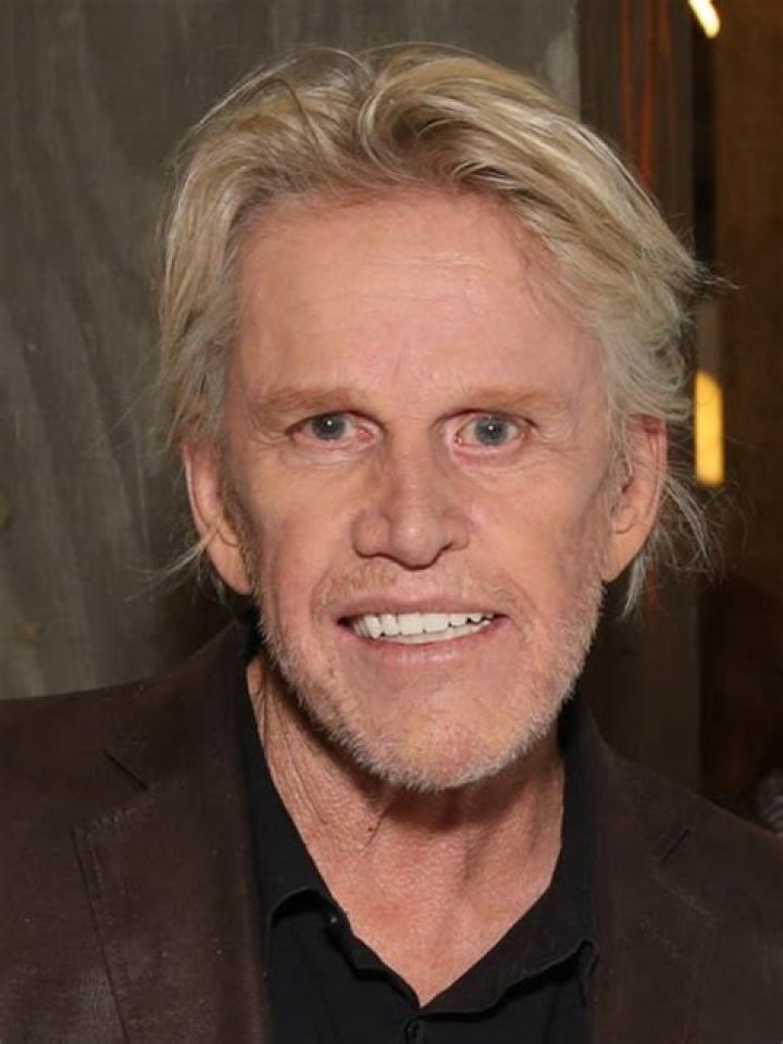 Gary Busey – Hollywood Life