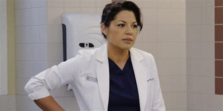 Callie Torres’ Best Moments Ever — Sara Ramirez Leaving – Hollywood Life