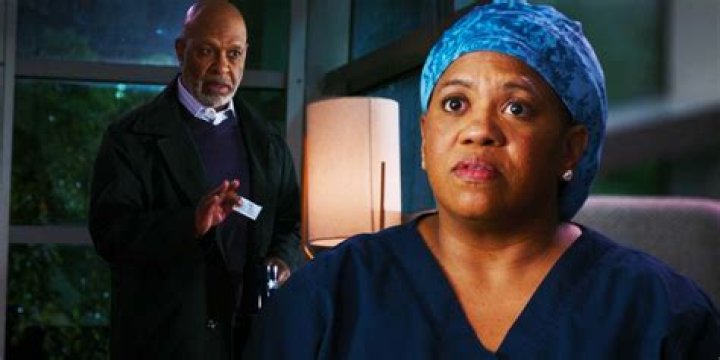 Meredith Reads Ellis Grey’s Journal — Webber’s Secrets Revealed – Hollywood Life