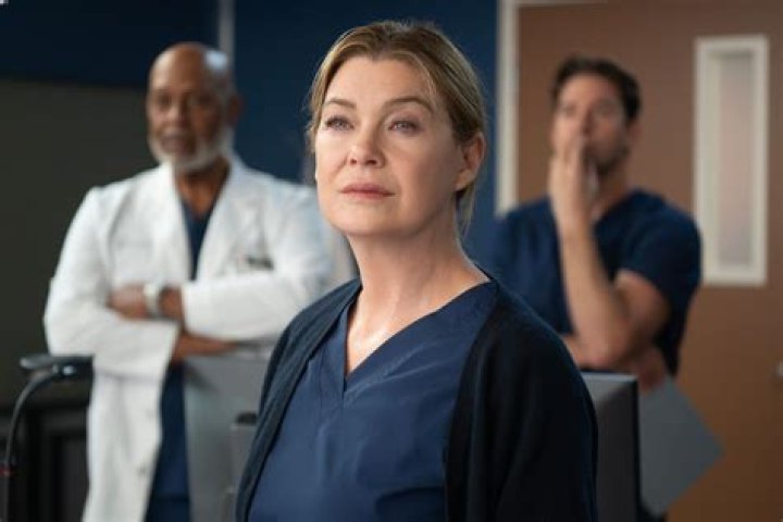 I Blame Alex For Getting Meredith Fired On 'Grey's Anatomy', But I Can Forgive Him. Can You?