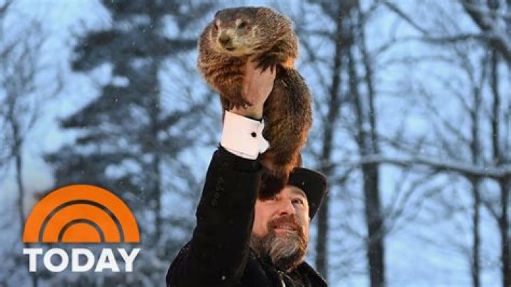 Photos Of Punxsutawney Phil – Hollywood Life