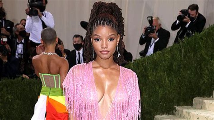 Halle Bailey Rocks Pink Bikini While ‘Somewhere Swinging’ On Vacation – Hollywood Life