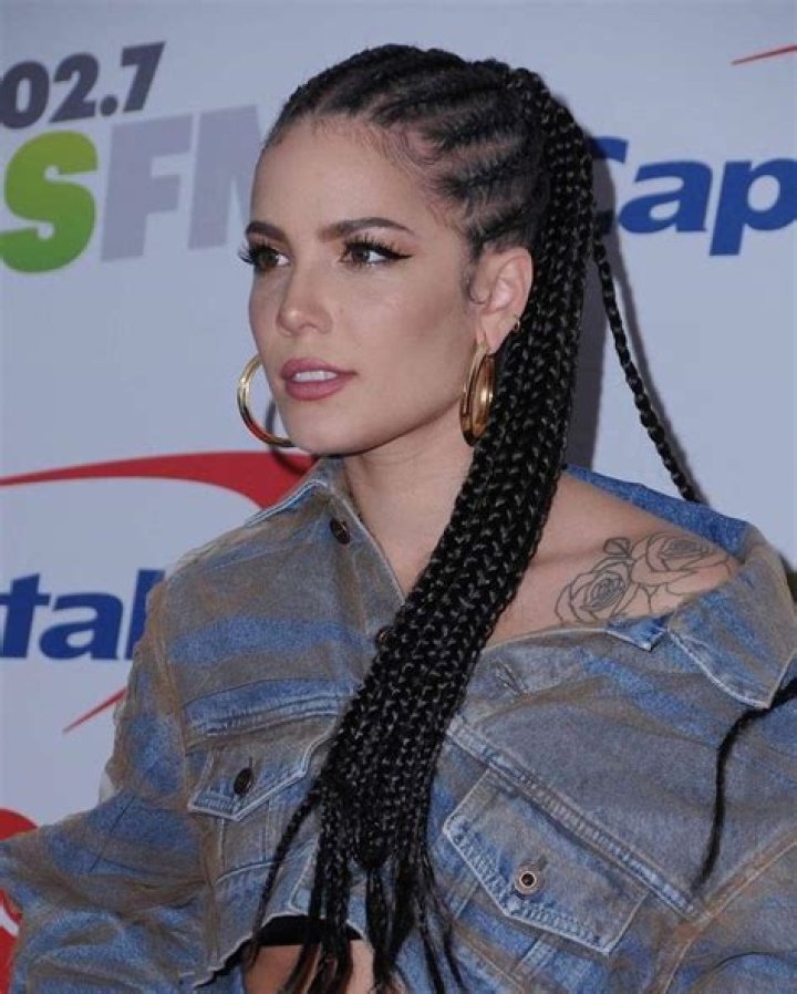 Halsey’s Hair Makeover: Singer Glows In Long Braids During Summer Road Trip – Before & After Pics