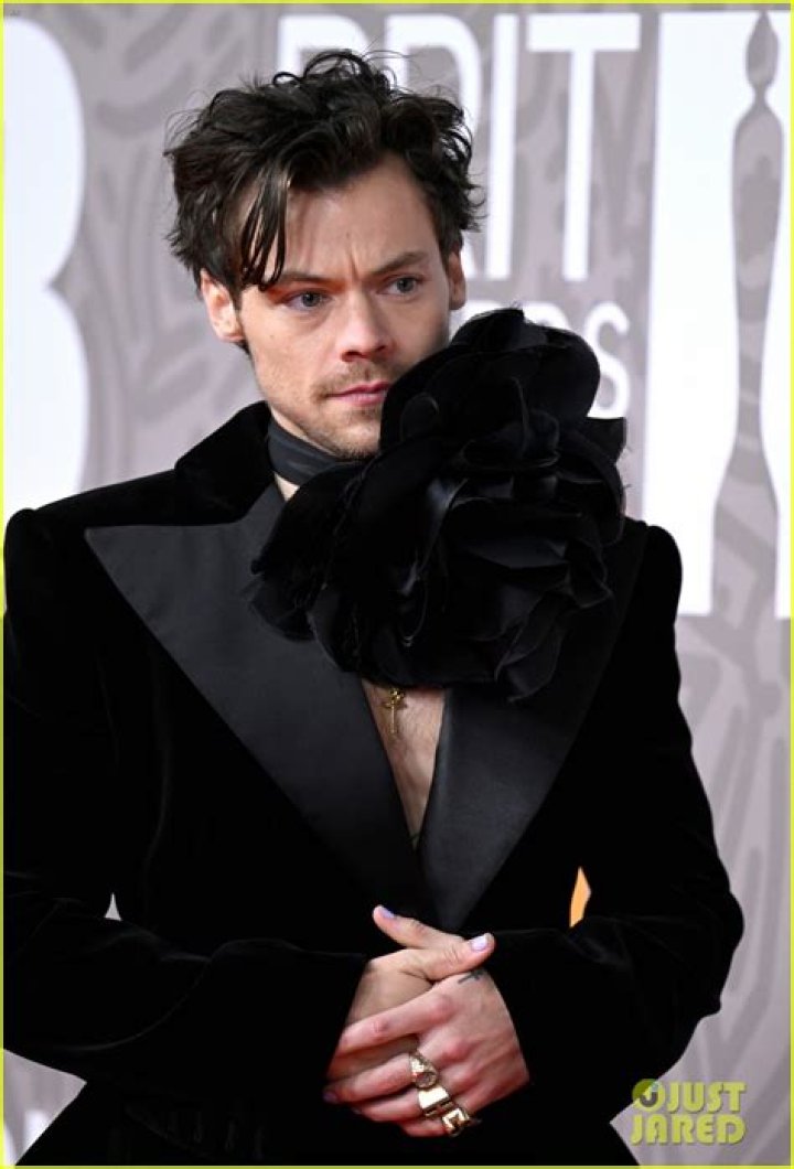 Harry Styles Black Nail Polish — Fans Freak Out After He Debuts New Look – Hollywood Life