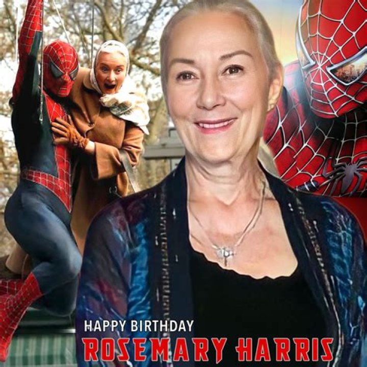 Heiress Harris, 4, Is Too Cute While Dressed As ‘Spidergirl’ For Friend’s 5th Birthday Party