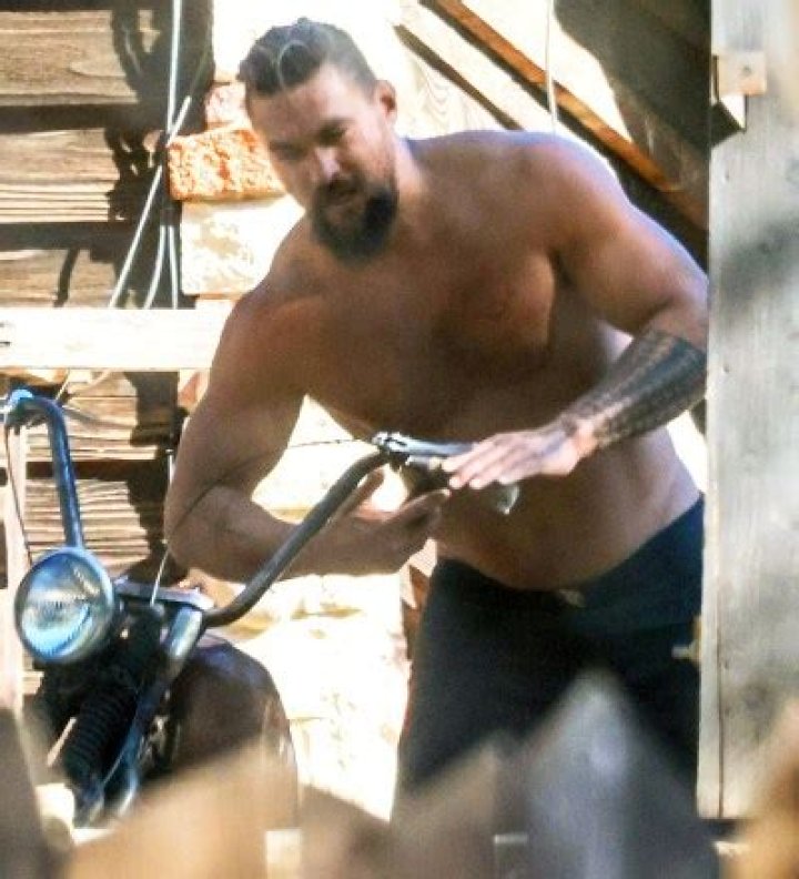 Jason Momoa Shows Off His Ripped Muscles While Shirtless In Venice With Wife Lisa Bonet — Pic