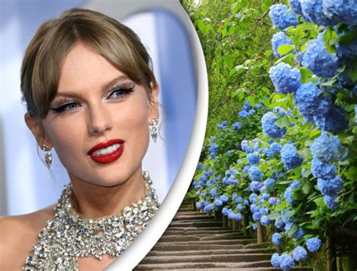 Kanye West Sends Taylor Swift ‘The Coolest Flowers’: Hoping She’ll Be His Vice President?