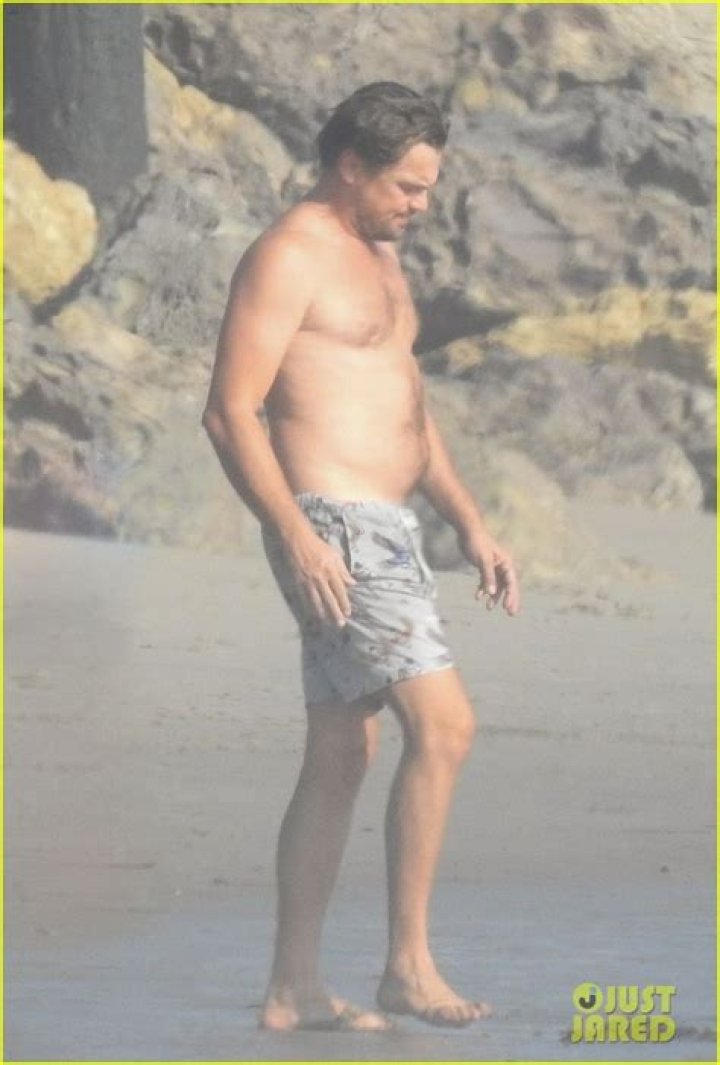 Leonardo DiCaprio & Emile Hirsch Shirtless In Malibu Beach Photos – Hollywood Life