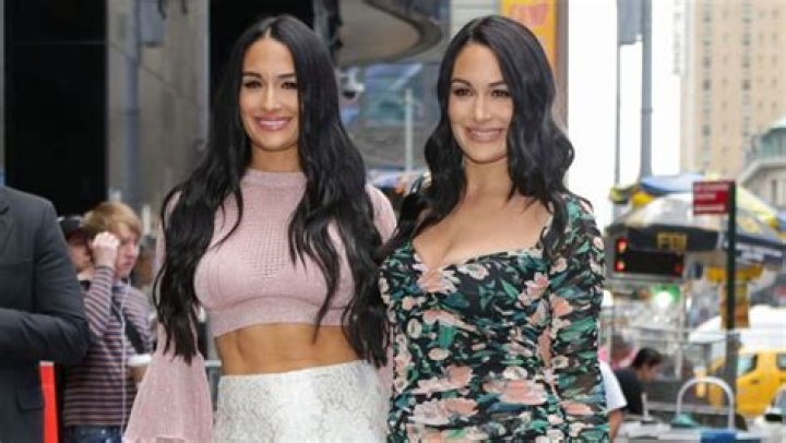 Nikki Bella ‘Leaning On’ Sister Brie Amid New Motherhood While Artem Chigvintsev’s Filming ‘DWTS’