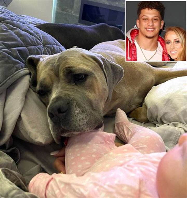 Patrick Mahomes & Brittany Matthews Gush Over Baby Girl Sterling As She Cuddles With Family Dog