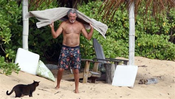 Pierce Brosnan, 67, Goes Shirtless & Shows Off His Muscles On The Beach In Hawaii — Pics