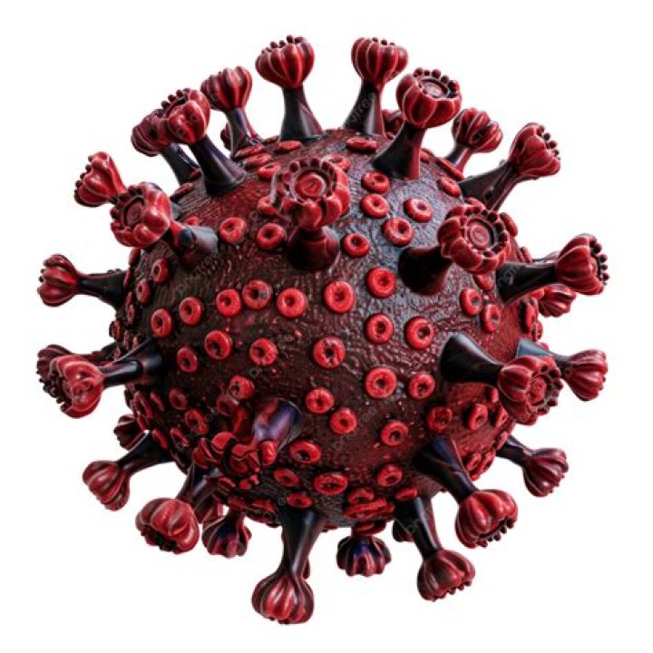 Miracle Girl, 8, Beats Rabies WITHOUT a Vaccine!