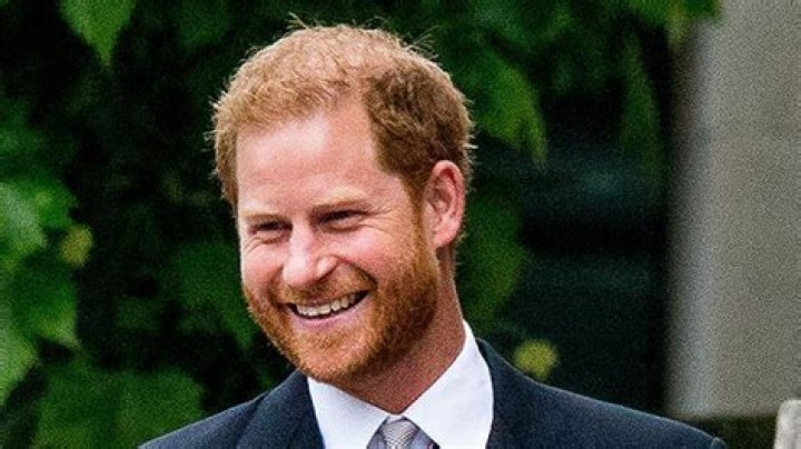 Prince Harry Dresses As Spider-Man For Charity Video: Watch – Hollywood Life