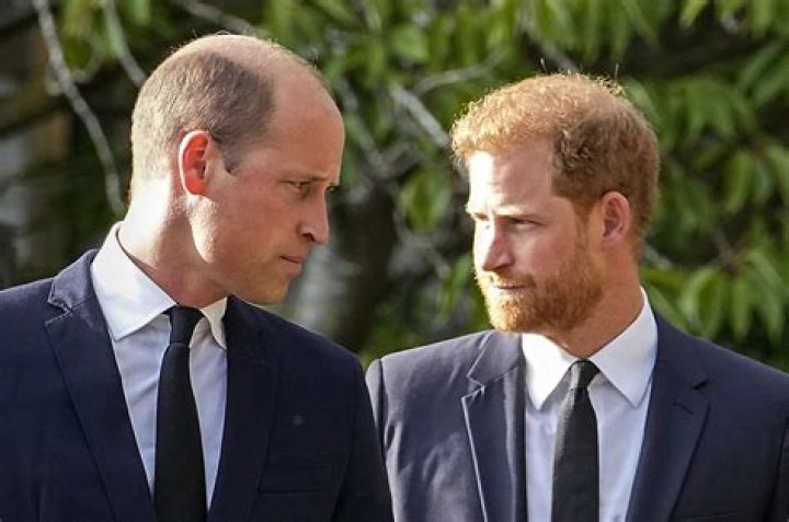 Prince William and Prince Harry’s Rift Deepens, Says Author – Hollywood Life