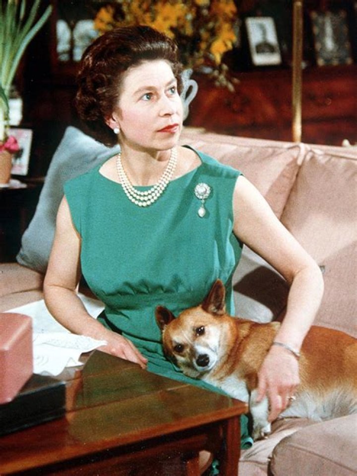 Queen Elizabeth II Was Reportedly ‘Comforted’ By Her Beloved Corgis ‘In Her Final Hours’