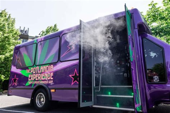 Rihanna’s Tour Buses Hit Pot Hole — Stopped At Border When Weed Found – Hollywood Life