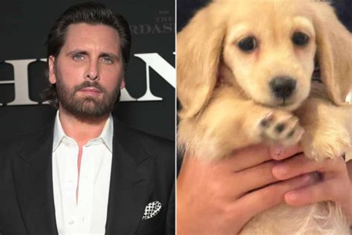 Scott Disick Shares Stunning Pic Of Daughter Penelope, 7, Snuggling With A Dog: ‘My Little Precious’