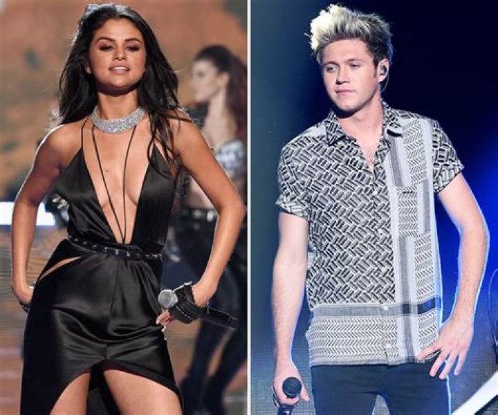 Selena Gomez & Niall Horan: She Sees Him As Marriage Material
