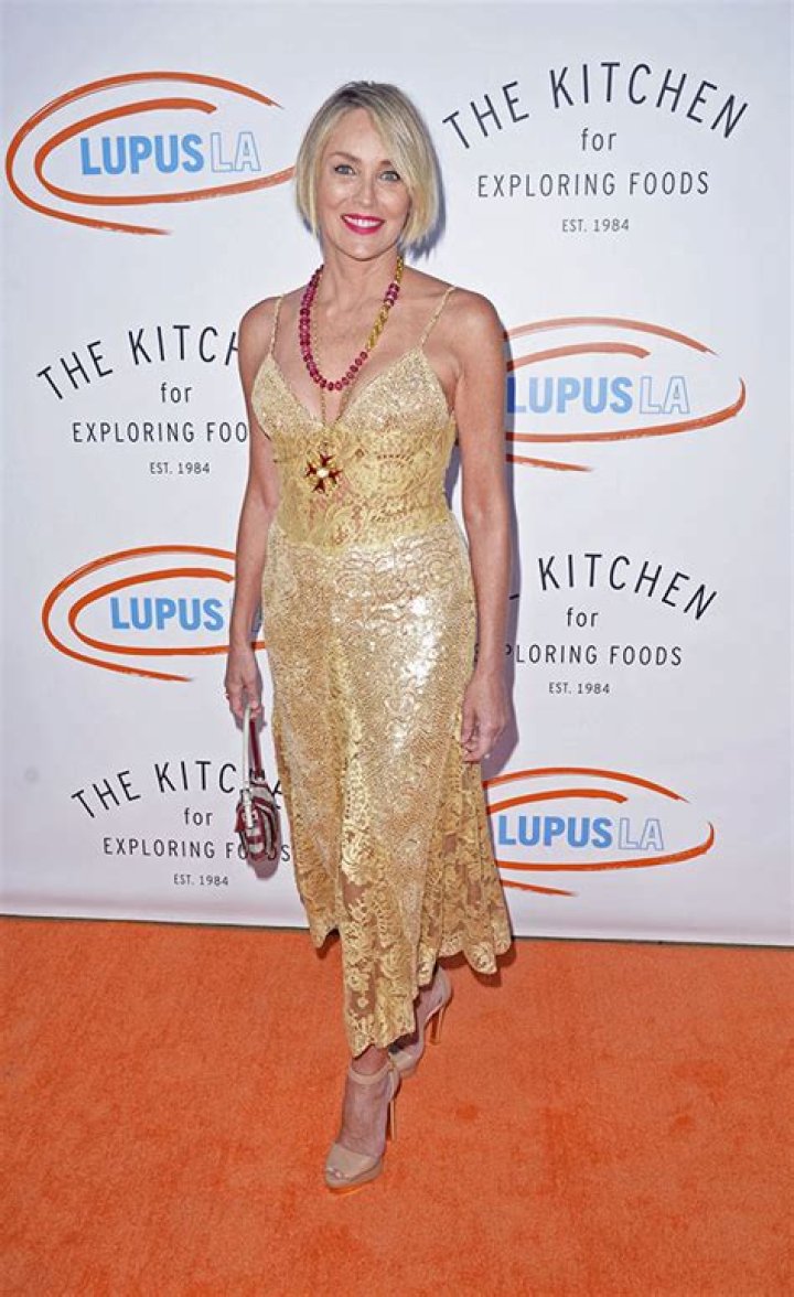 Sharon Stone, 63, Is Gorgeous In Recycled Valentino Gown She 1st Wore Nearly 10 Years Ago – Pics