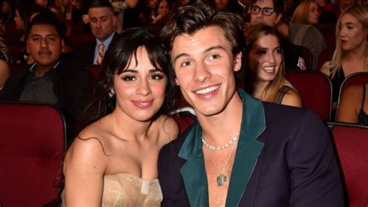 Are Hailey Baldwin & Camila Cabello Fighting Over Shawn Mendes?