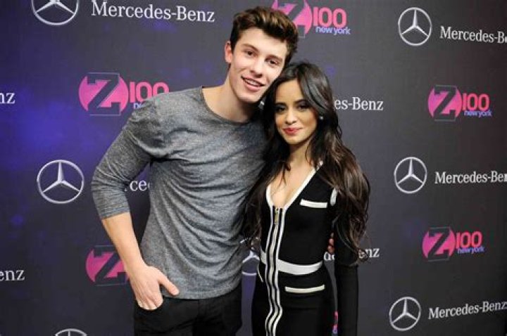 Shawn Mendes Teases A Potential Collaboration With Camila Cabello After Their Split