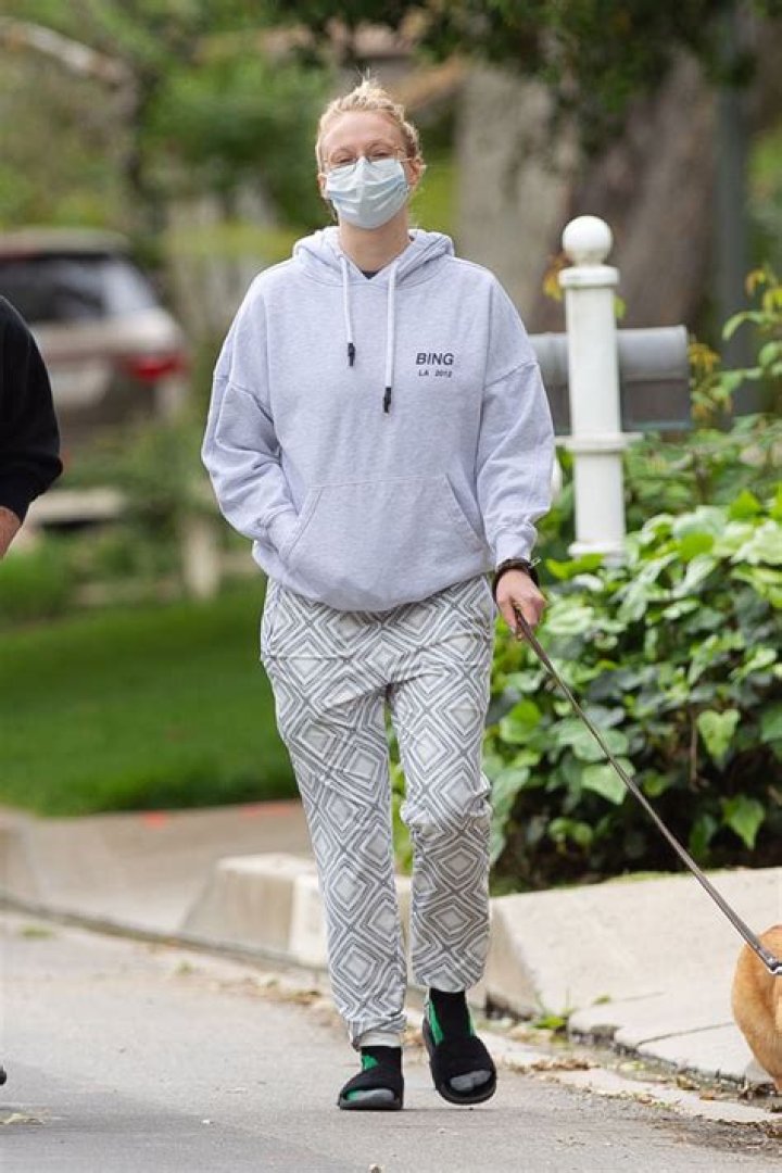 Sophie Turner Wears Oversized Hoodie & Protective Gear While Out With Joe Jonas & Their 3 Dogs