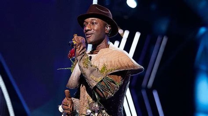 ‘The Masked Singer’s Aloe Blacc Had ‘No Idea’ LeAnn Rimes Was The Sun – Hollywood Life