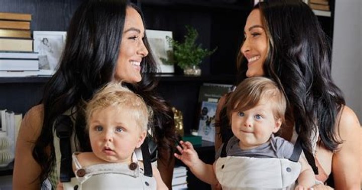 The Miz Lends Parenting Advice To Nikki & Brie Bella — Interview – Hollywood Life